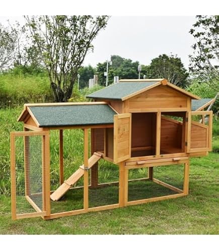 Amazon | 鶏用ケージ ペットケージ 大型 4～6羽用 飼育小屋 産卵室付き